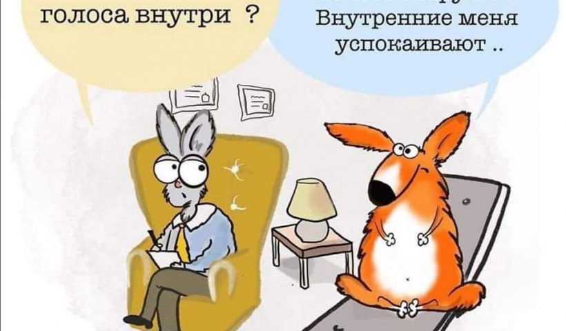 Общение по видеосвязи, об извинениях, о гостеприимстве.