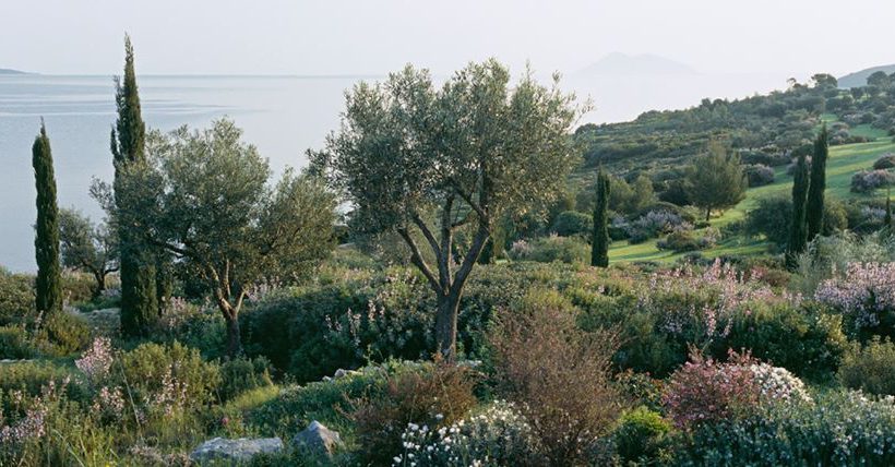 A garden overlooking the sea