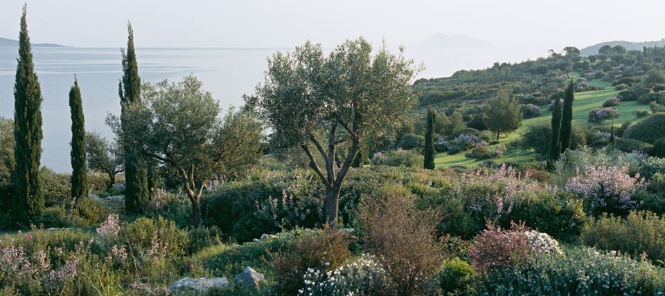 A garden overlooking the sea