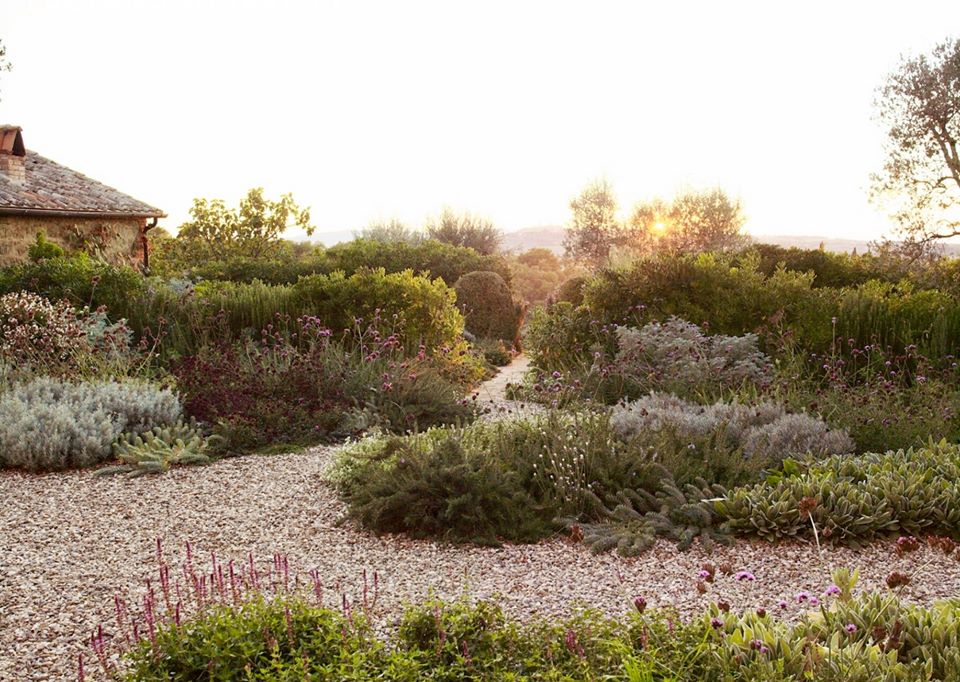 Traditions and modernity in garden design