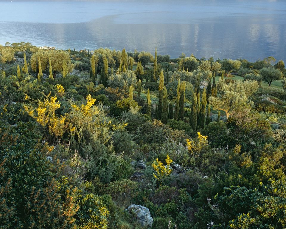 A garden overlooking the sea