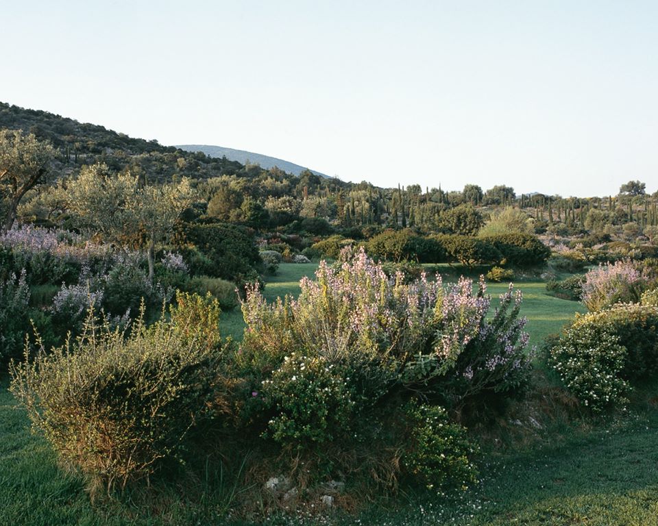 A garden overlooking the sea