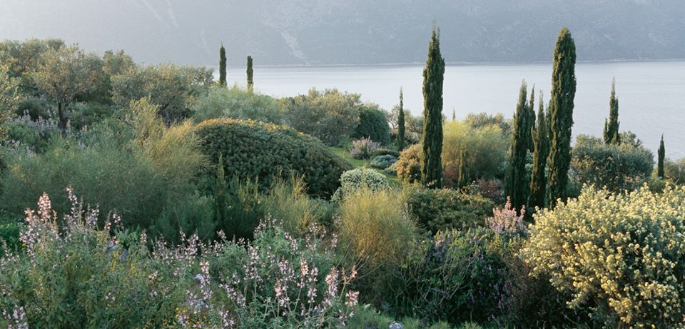 A garden overlooking the sea