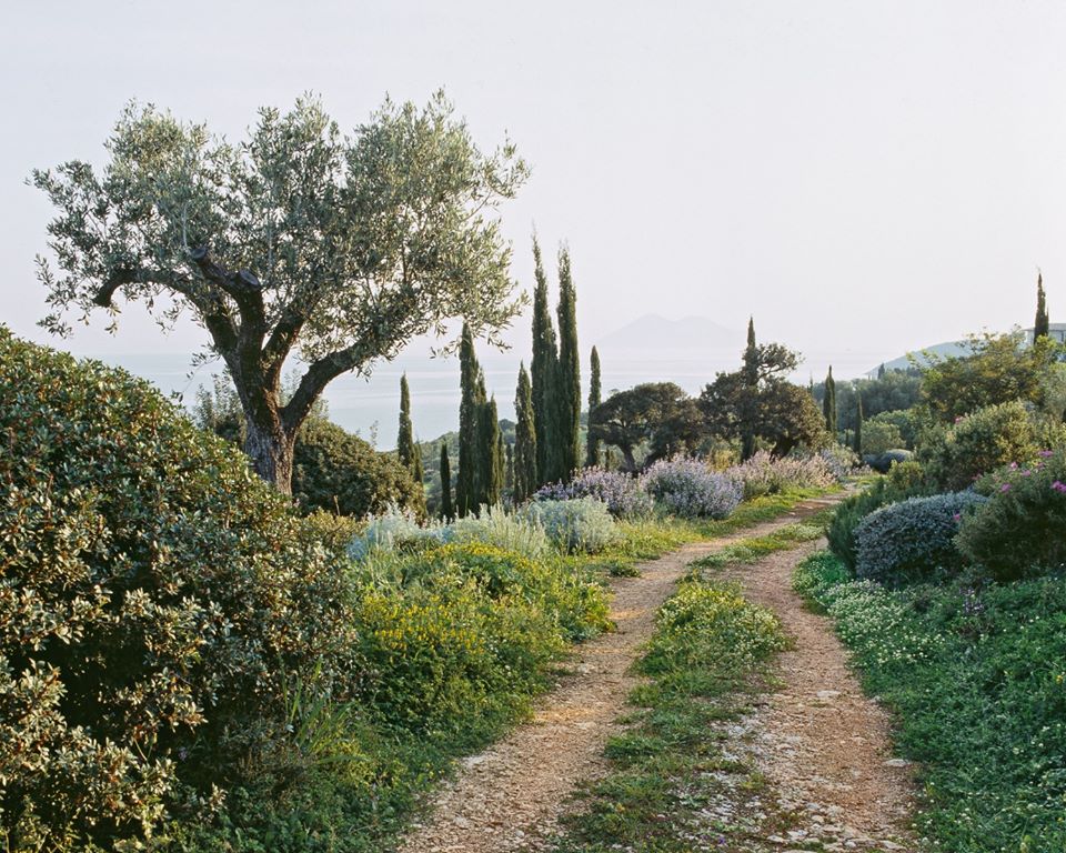 A garden overlooking the sea