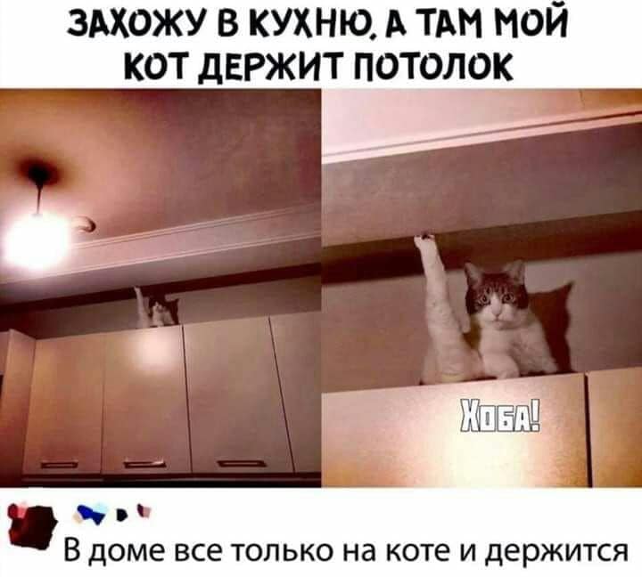 Настал день переезда