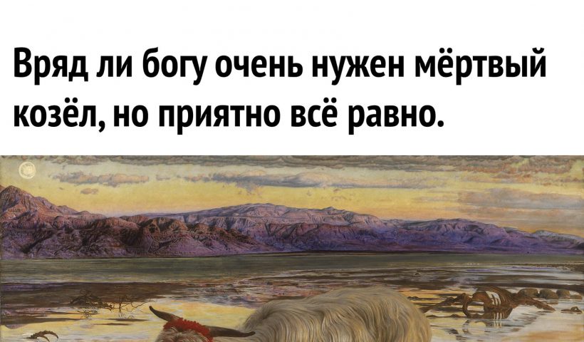 Что делать с креветками; комплименты в ресторане; со свекровью про мужа; про спасибо, подарки и красоту...