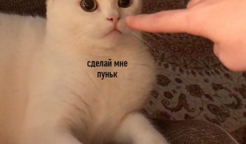 Не поддавайтесь