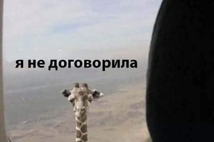 Свести с ума