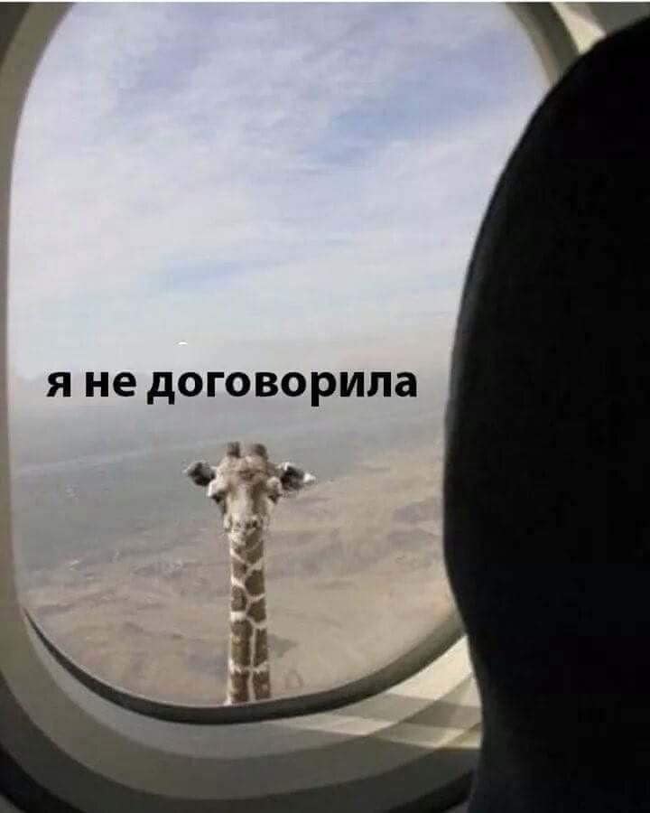 Свести с ума