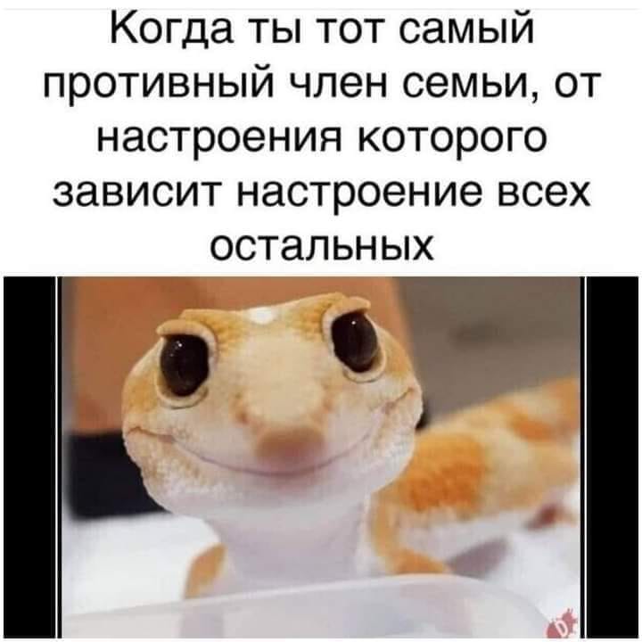 Опять?