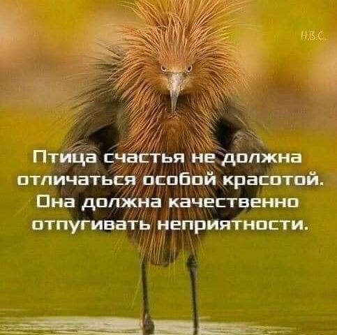 Когда не знаешь, что делать