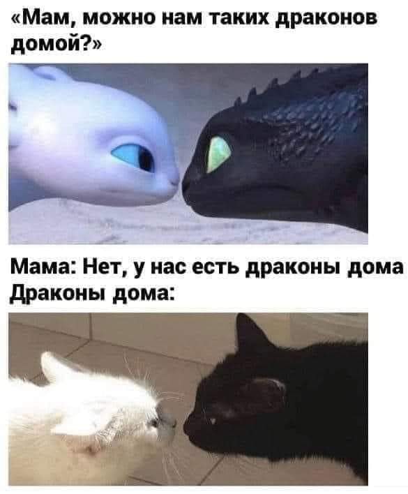 Это микробы нас боялись