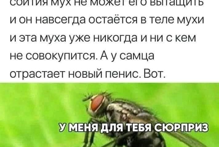 А раз тут нет, то где искать?