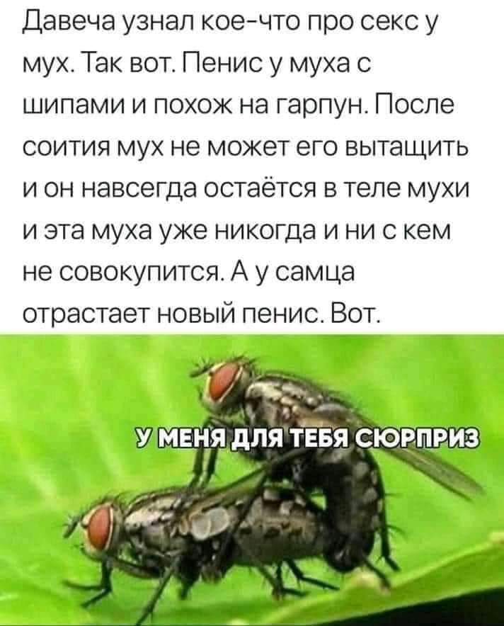 А раз тут нет, то где искать?