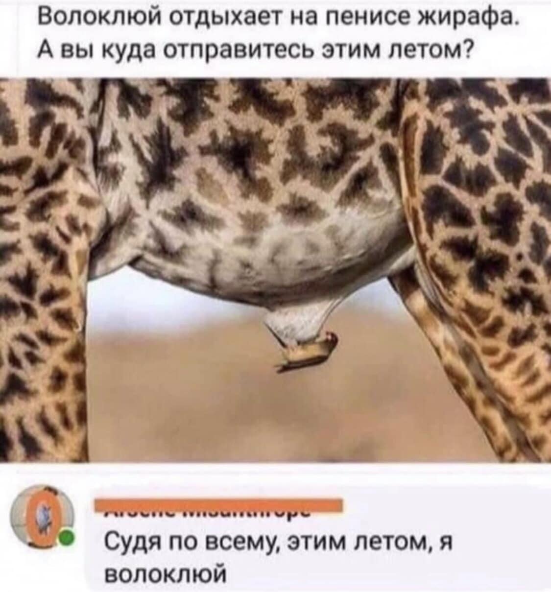 Что оставлять на усмотрение клиента?