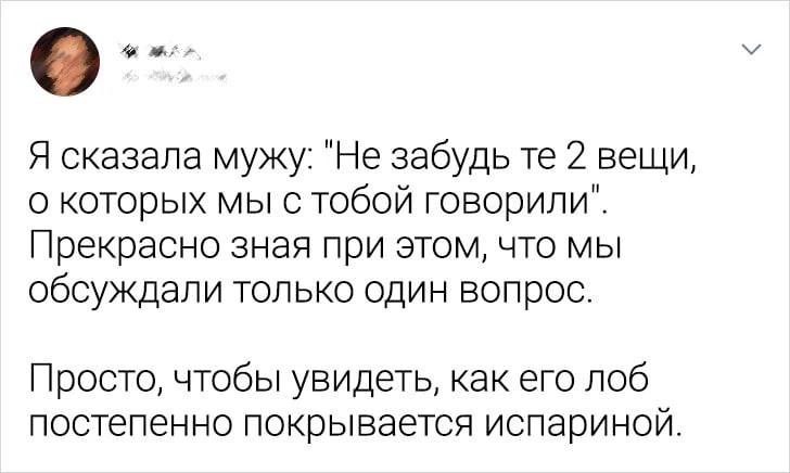 Кот на самовыгул, регламент на шумовые работы, блог и мат, лицейский сад и драки, работа на опережение, без поцелуев, клинический опыт, форма паразитирования на чужом ресурсе