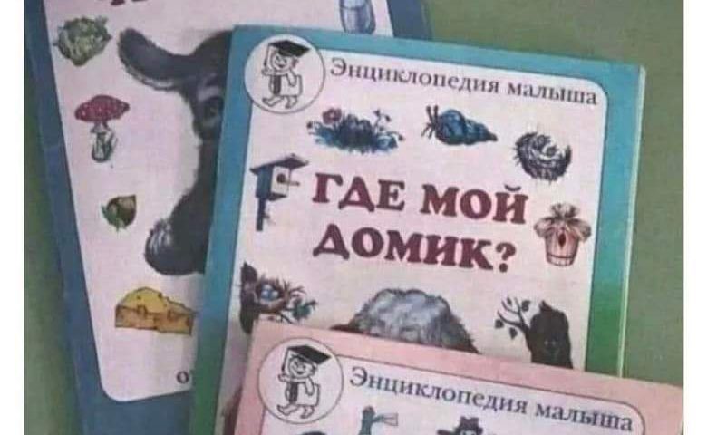 Орган смысла