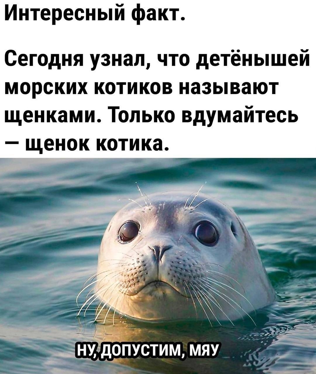 Плохо убрано. Здороваться или прощаться? Попутчик в поезде. Назначение на  блокнотных листочках – Cucumari